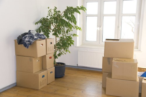 Interior view of organized storage units at Lampton Storage